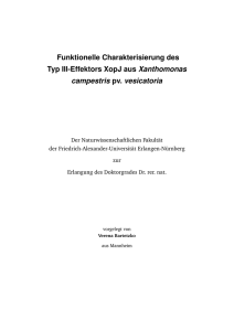 Funktionelle Charakterisierung des Typ III