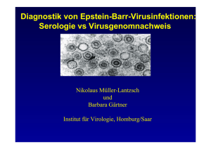 Diagnostik von Epstein-Barr-Virusinfektionen