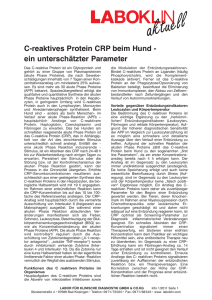 C-reaktives Protein CRP beim Hund - ein unterschätzter