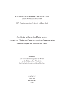 Aspekte der antitumoralen Effektorfunktion zytotoxischer T