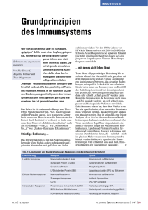Grundprinzipien des Immunsystems