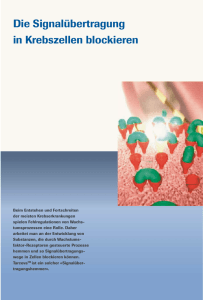 Die Signalübertragung in Krebszellen blockieren