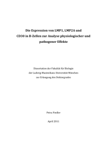 Die Expression von LMP1, LMP2A und CD30 in B