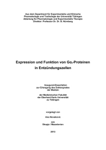 Expression und Funktion von Gαi-Proteinen in Entzündungszellen
