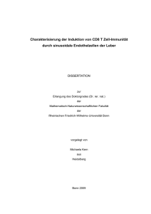 Charakterisierung der Induktion von CD8 T Zell