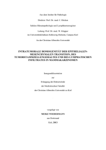 INTRATUMORALE HOMOGENITÄT DER EPITHELIALEN