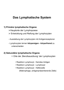 Lymphat. Organe