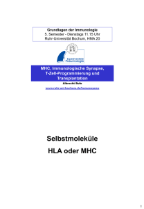 Selbstmoleküle HLA oder MHC - Ruhr
