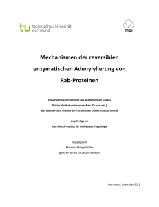 Mechanismen der reversiblen enzymatischen