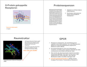 G-Protein gekoppelte Rezeptoren
