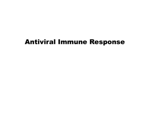 Antiviral Immune Response - Institut für Medizinische Immunologie