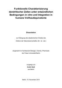 Funktionelle Charakterisierung dendritischer Zellen unter