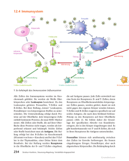 Immunantwort