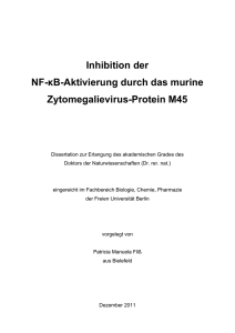 Inhibition der NF-κB-Aktivierung durch das murine Zytomegalievirus