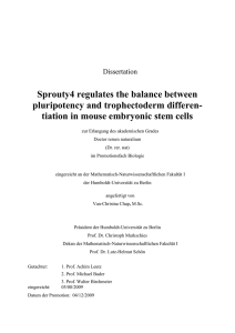 tiation in mouse embryonic stem cells