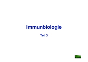 Immunbiologie Teil 03 Internet