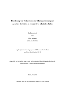 Etablierung von Testsystemen zur Charakterisierung der Apoptose