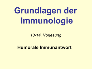 14. Humorale Immunantwort.