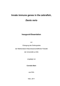 Innate immune genes in the zebrafish, Danio rerio