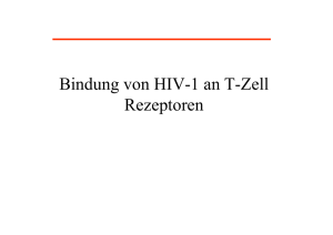 Bindung von HIV-1 an T-Zell Rezeptoren