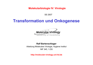 Transformation und Onkogenese
