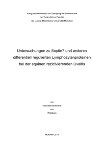 Untersuchungen zu Septin7 und anderen differentiell regulierten