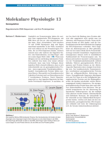 Molekulare Physiologie 13: Regulatorische DNA