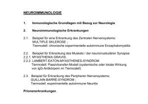 Neuro - MedUni Wien