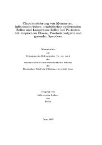 Charakterisierung von Monozyten, inflammatorischen dendritischen