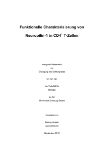 Funktionelle Charakterisierung von Neuropilin-1 in CD4 T