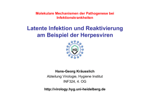 Latente Infektion und Reaktivierung am Beispiel der Herpesviren
