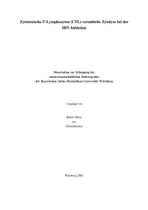 Zytotoxische-T-Lymphozyten (CTL)-vermittelte Zytolyse bei der HIV