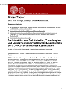 Medizinische Fakultät Heidelberg: Gruppe Wagner
