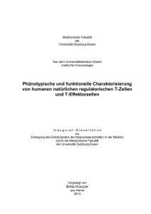 Phänotypische und funktionelle Charakterisierung