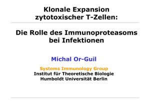 Klonale Expansion zytotoxischer T-Zellen: Die Rolle