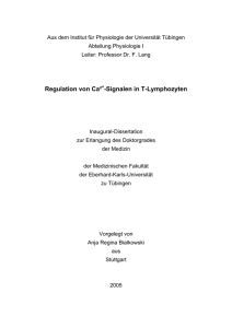 Regulation von Ca² -Signalen in T-Lymphozyten