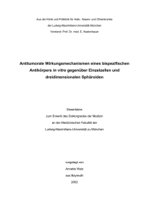 Antitumorale Wirkungsmechanismen eines bispezifischen