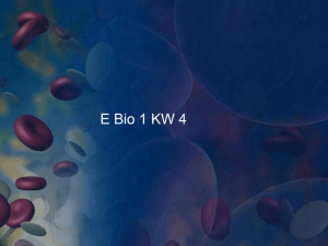 E Bio 1 KW 4