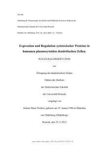 Expression und Regulation von zytotoxischen Proteinen in