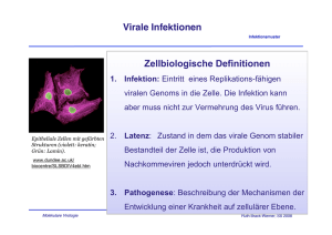 Virale Infektionen Zellbiologische Definitionen