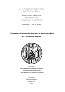 Tumorzell-induzierte Hochregulation des Chemokins CCL22 in