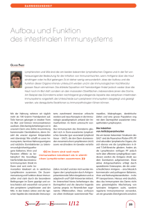 Aufbau und Funktion des intestinalen Immunsystems