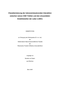 pdf-Dokument - Universität Bonn