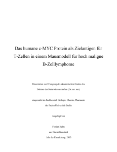 Das humane c-MYC Protein als Zielantigen für T