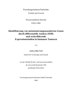 Identifizierung von metastasierungsassoziierten - KIT