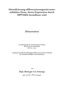 Identifizierung differenzierungsrelevanter zellul&auml;rer Gene, deren