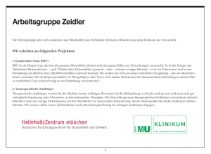 To the PDF Document - Helmholtz Zentrum München