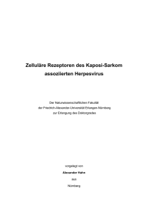 Zelluläre Rezeptoren des Kaposi-Sarkom assoziierten Herpesvirus