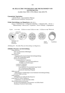 48. ZELLULÄRE UND MOLEKULARE MECHANISMEN VON