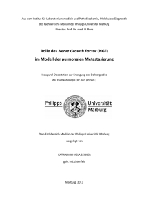 im Modell der pulmonalen Metastasierung